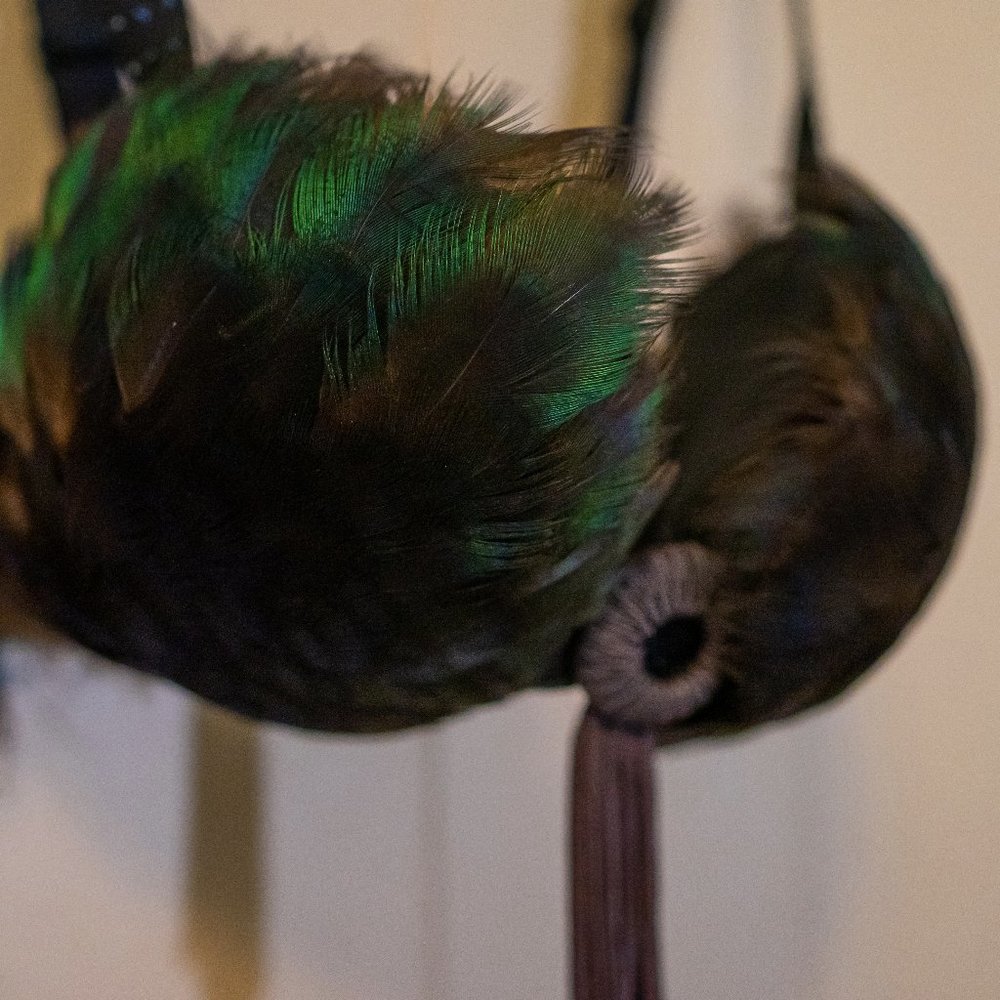 Real Peacock Feather Bra